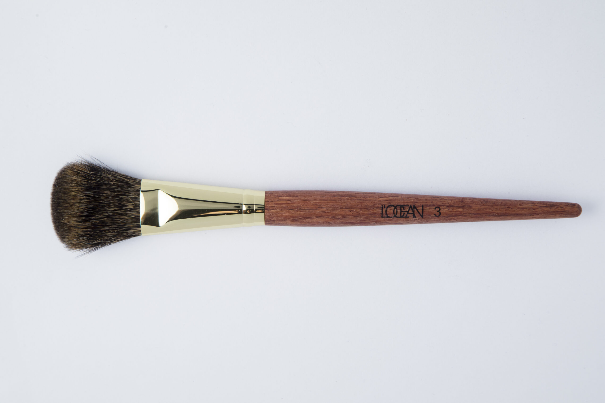 LOCEAN Professional Brush №3