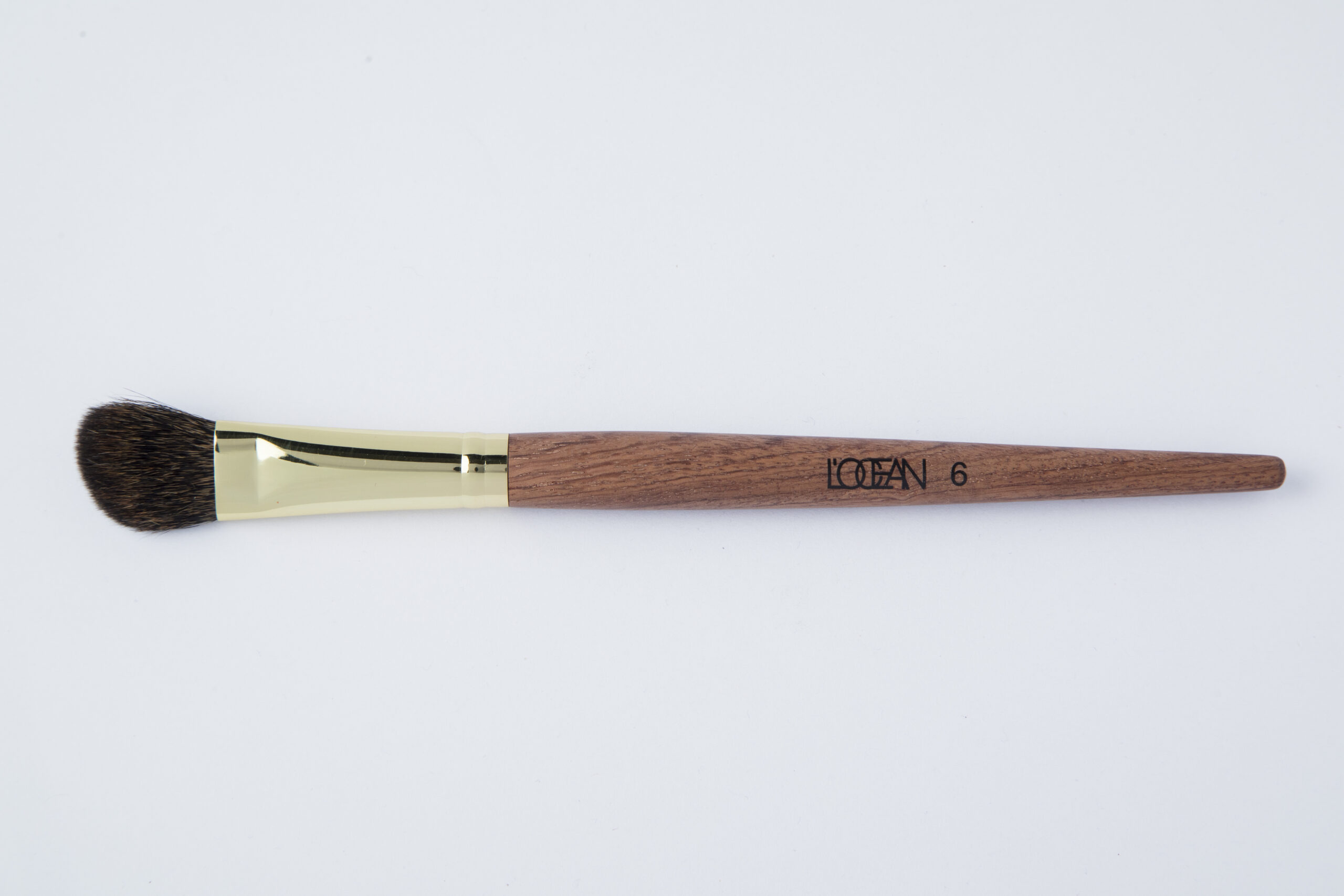 LOCEAN Professional Brush №6