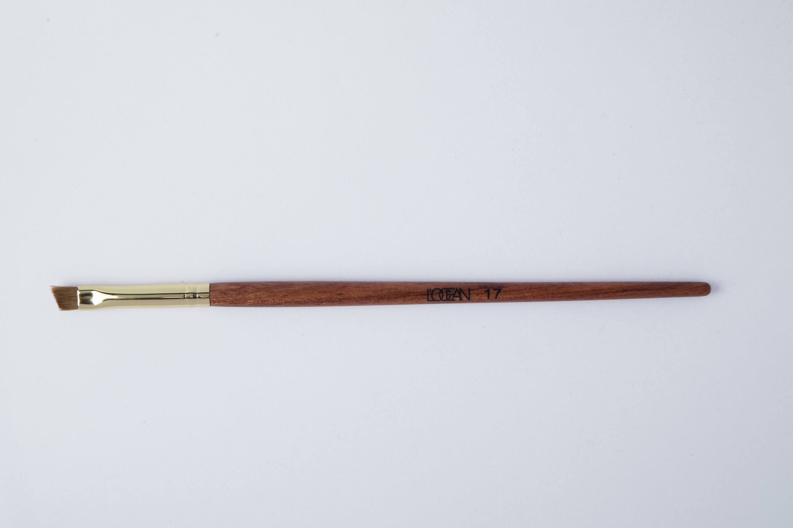 LOCEAN Professional Brush №17